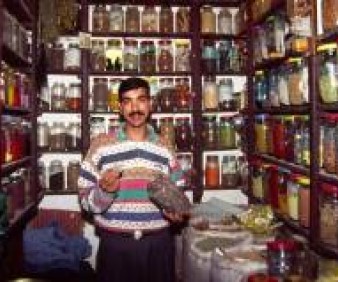 smalll group tours to Morocco